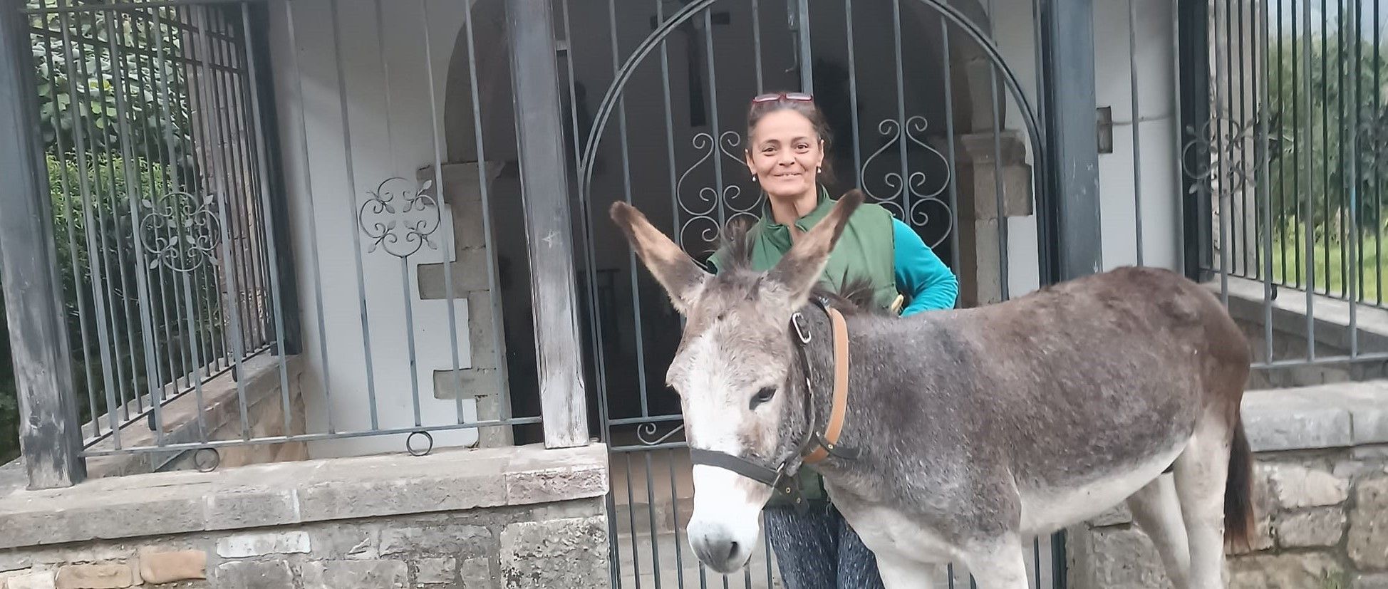 Experiencia ganadera en Asturias con Mar: Redescubre lo tradicional