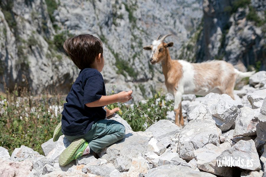 Ruta del Cares en Asturias con niños pequeños