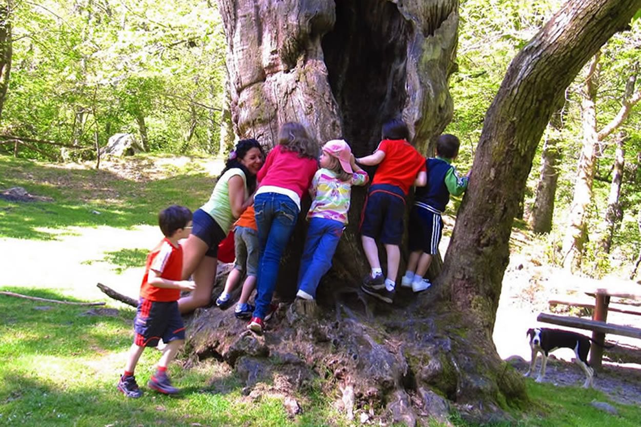 ¿Qué conocer en Asturias con niños este 2024?