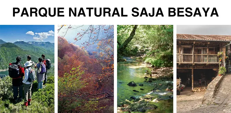 Qué ver en el Parque natural Saja Besaya