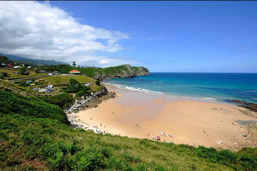 Qué hacer en Asturias con perros