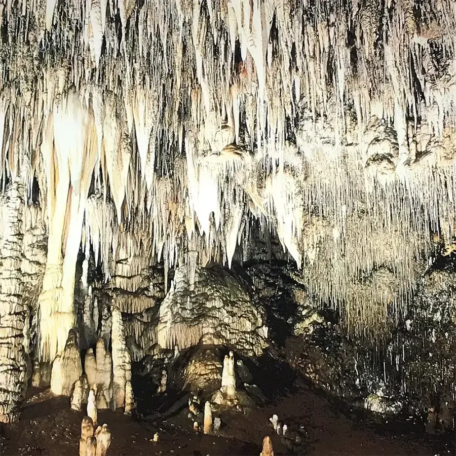 Cueva el Soplao