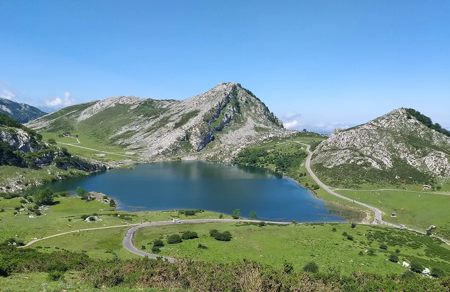 Qué hacer en Asturias con perros