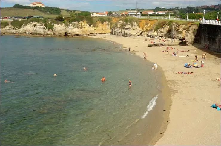 Qué hacer en Asturias con perros
