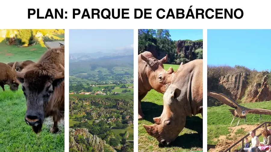 Qué ver en el parque de Cabárceno