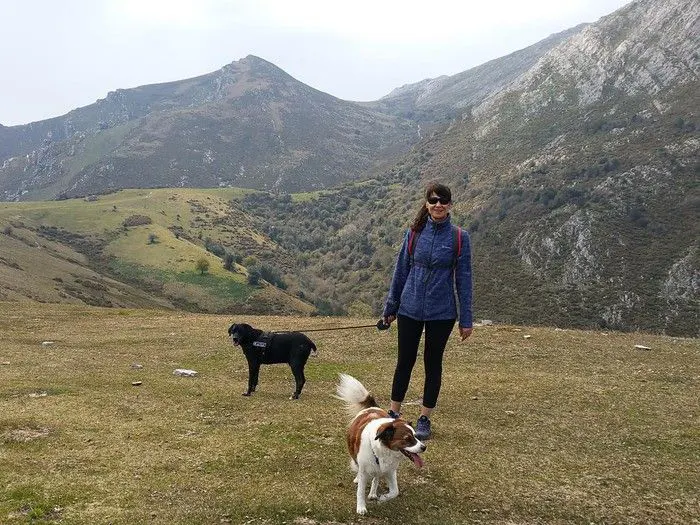 Qué hacer en Asturias con perros
