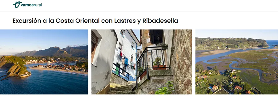 Qué hacer en Asturias con perros
