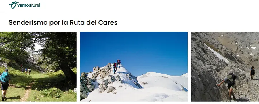 Qué hacer en Asturias con perros
