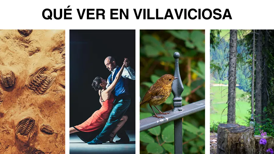¿Qué ver en Villaviciosa?